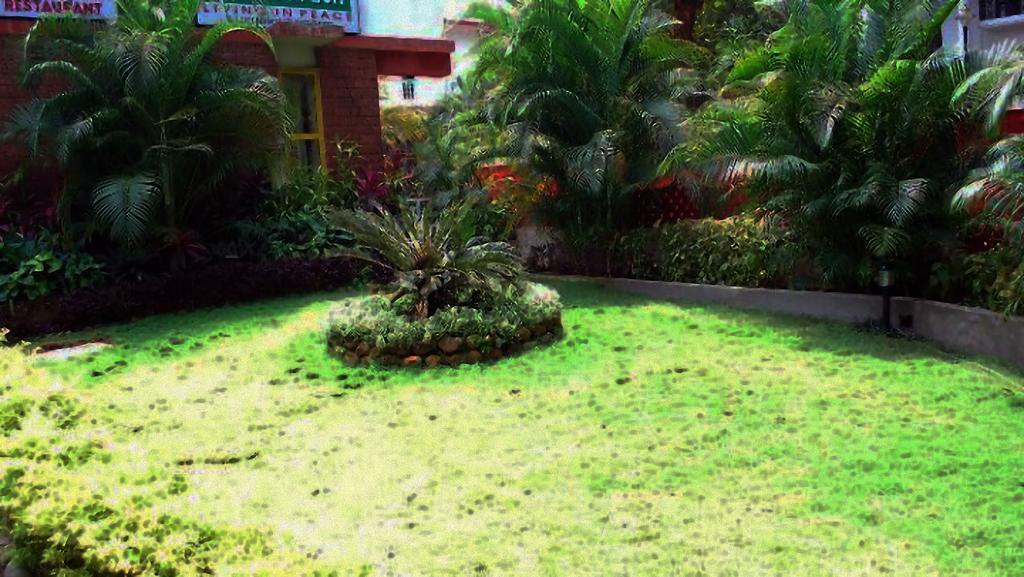 Little Italy Hotel Calangute Exterior photo